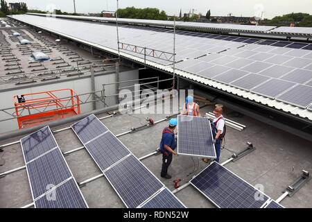 La costruzione di un grande impianto fotovoltaico su diversi tetti, 16000 metri quadrati, Gelsenkirchen, Renania settentrionale-Vestfalia Foto Stock