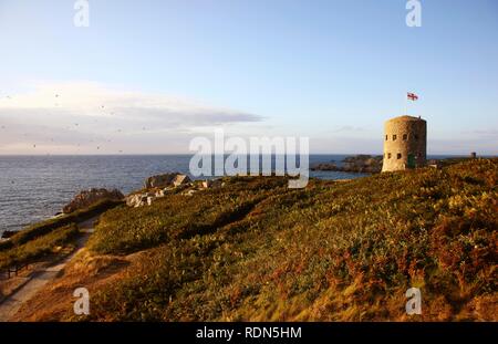 Martello torri, guardare e torri di guardia del XVII secolo si trova lungo il litorale, qui torre n. 5 presso il Pembroke Bay nel Foto Stock