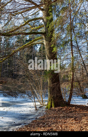 Inizio della primavera in Warmia e Mazury, Foto Stock