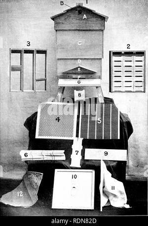 . Istruzione in apicoltura per l'uso di Irish apicoltori. Le api. Istruzione IN APICOLTURA-. Fig- 1 -" C. D. B" Bar Pattern-telaio Hive. Si prega di notare che queste immagini vengono estratte dalla pagina sottoposta a scansione di immagini che possono essere state migliorate digitalmente per la leggibilità - Colorazione e aspetto di queste illustrazioni potrebbero non perfettamente assomigliano al lavoro originale. L'Irlanda. Dipartimento di Agricoltura e istruzioni tecniche. Londra, H. M. Stationery Off. Foto Stock