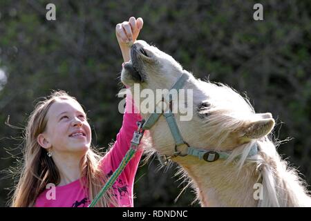 Ragazza alimentando un pony Foto Stock