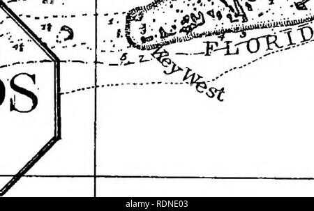. Il settore della pesca e delle industrie della pesca degli Stati Uniti. Preparati attraverso la cooperazione del commissario per la pesca e il soprintendente del decimo censimento. La pesca. Il grafico n. 17.. Spugnatura motivi ho della costa della Florida .30 28 26 CSaile. 24". Si prega di notare che queste immagini vengono estratte dalla pagina sottoposta a scansione di immagini che possono essere state migliorate digitalmente per la leggibilità - Colorazione e aspetto di queste illustrazioni potrebbero non perfettamente assomigliano al lavoro originale. Goode, G. Brown (George Brown), 1851-1896; Allen, Joel Aseph, 1828-1921; Elliott, Henry Wood, 1846-1930; vero, Foto Stock