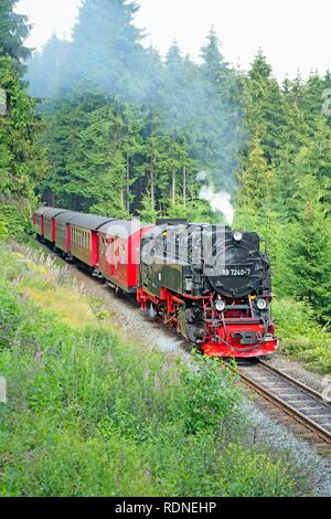 Brockenbahn, Brocken Railway, arrampicata tra Drei Annen Hohne e Schierke fino Brocken Mountain, Eastern Harz, Sassonia-Anhalt Foto Stock