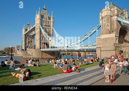 Il Tower Bridge e il Ponte di Londra City Park, Londra, Inghilterra, Gran Bretagna, Europa Foto Stock