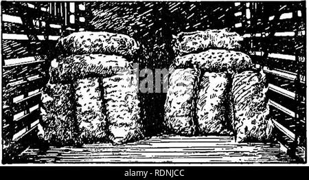 . La patata dolce; un manuale per il coltivatore di pratica. Patate dolci. Preparazione per il mercato 235. Figura 46.- saccheggiata patate dolci che vengono spediti in stock car. Abbondanza di ventilazione, ma pericolosa su ac- conteggio delle variazioni di temperatura. altri. Con un panno-top di barili, meno lividi sarà per- haps risultato se lo strato superiore viene caricato su di sentina. Quando caricato in quest'uomo- ner il panno-tops dovrebbe essere collocato a- ward l'interno, par- ticularly nella porta- modo. In vecchi veicoli di dimensioni a volte è necessario caricare tutte le canne su cui sentina sono nel vano della porta per assicurare un accoppiamento a tenuta. In tutti i casi il doo Foto Stock