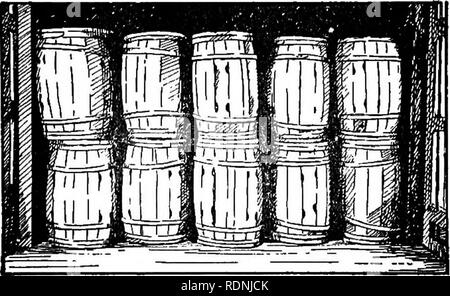 . La patata dolce; un manuale per il coltivatore di pratica. Patate dolci. FlGTJBE 44.- barili caricato sul loro trasversalmente di sentina della vettura. Nota che i barili sul quarto strato dovrebbe essere stato contro la parete di destra.. FiGUBE 45.- a doppia testa fusti ventilati caricati su Fine. i tracciati sono stati inseriti tra gli strati in questo carico. strato collocato direttamente sulla parte superiore della prima fila, avendo cura di tutta la vettura per mantenere le botti stretto contro di ciascuno. Si prega di notare che queste immagini vengono estratte dalla pagina sottoposta a scansione di immagini che possono essere state migliorate digitalmente per la leggibilità - colo Foto Stock