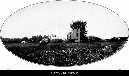 . Attorno ad un antico casolare; un libro di memorie. Huston, Paolo Griswold; della vita agricola; storia naturale. 34 attorno ad un antico casolare. invidiata rivali di ev-ery altre band di vagabondaggio min- strels. La Old Homestead e il borgo mi ricordo di oreficeria poesia, Sweet Auburn, villaggio più belli della pianura." Ah, così è! Eppure mi ha ricordato anche il "Elegy" dal mirto cimitero coperto tra i sempreverdi, dove " Eacln nella sua cella stretta per sempre prevista, il rude antenati della frazione di dormire " - e dal fienile e le rondini e le belle serate e molti altri th Foto Stock