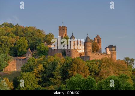 Il castello di Wertheim, Kreuzwertheim, Baden-Württemberg, Germania Foto Stock