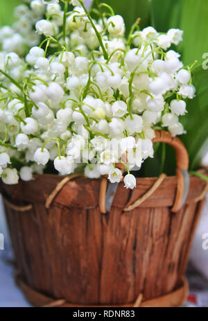 Cestello con mughetti (convallaria majalis) Foto Stock