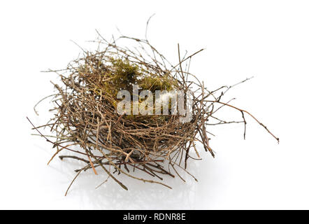 Vuoto reale bird nest su sfondo bianco Foto Stock
