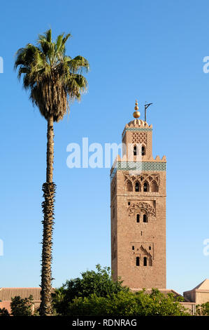 Minareto di Koutoubia e palme o di Marrakech Marrakech marocco Foto Stock