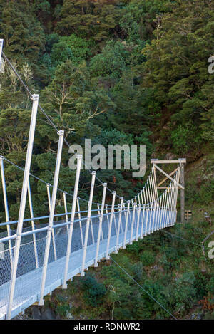 L'inizio del Rob Roy Glacier via conduce gli escursionisti oltre il Fiume Matukituki tramite un ponte girevole in una foresta di faggio nella valle Matukituki vicino Foto Stock