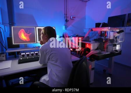 La biotecnologia, microscopio a fluorescenza, una versione speciale di un microscopio luminoso che può visualizzare marcati fluorescenti Foto Stock