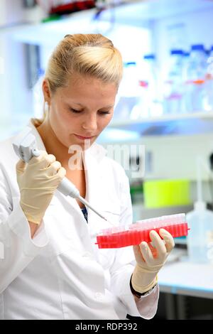 Laboratorio di biotecnologie, uno scienziato è il pipettaggio di DNA-soluzione in diversi test tube navi, centro per uso medico Foto Stock