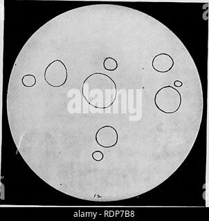. L'origine della vita, la sua base fisica e definizione. Vita (biologia). X.. XI. [A faccia - pagina 120(e). Si prega di notare che queste immagini vengono estratte dalla pagina sottoposta a scansione di immagini che possono essere state migliorate digitalmente per la leggibilità - Colorazione e aspetto di queste illustrazioni potrebbero non perfettamente assomigliano al lavoro originale. Burke, John Benjamin Butler, 1873-. Londra, Chapman e Hall, Ltd. Foto Stock