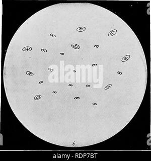 . L'origine della vita, la sua base fisica e definizione. Vita (biologia). VI. [Faccia a pagina 112. Si prega di notare che queste immagini vengono estratte dalla pagina sottoposta a scansione di immagini che possono essere state migliorate digitalmente per la leggibilità - Colorazione e aspetto di queste illustrazioni potrebbero non perfettamente assomigliano al lavoro originale. Burke, John Benjamin Butler, 1873-. Londra, Chapman e Hall, Ltd. Foto Stock