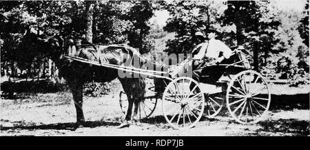 . Descrizione e itinerario di agricolo treno speciale. Duplice valore dell'ape. Fare api ferire la frutta? Combinando l'apicoltura e agricoltura. Report di stato ispettore di apiari. La covata malattie delle api. Alcuni nettare e polline di piante del cuscinetto del Tennessee. Relazione di raccolto per il mese di giugno. Le api. 274 J^ENNESSEE AGRICOLTURA RELAZIONE DEL TH]© ISPETTORE DELLO STATO DI apiari. Il Commissario per l'agricoltura, T. F. Peck. Sir: In conformità con la sezione lo di Tennessee apiario diritto, ho rispettosamente presentano le seguenti epitome della mia ofificial servizi per l'anno 1913. L'anno igiT, era molto favorevole Foto Stock