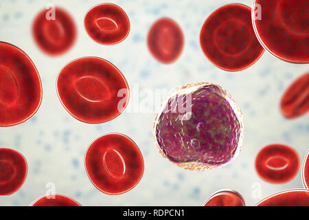 Linfocita di cellule bianche del sangue in uno striscio di sangue, illustrazione del computer. I linfociti sono coinvolti nella produzione di anticorpi e di attaccare infettate da virus e cellule tumorali. Foto Stock