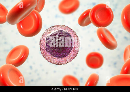 Linfocita di cellule bianche del sangue in uno striscio di sangue, illustrazione del computer. I linfociti sono coinvolti nella produzione di anticorpi e di attaccare infettate da virus e cellule tumorali. Foto Stock