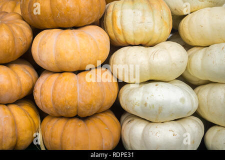 Arancione e bianco zucche in vendita; display stagionali; sfondo per caduta, autunno; Halloween, Ringraziamento, la California, la California Foto Stock