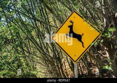 Un segno di avvertimento che persone deer può eseguire in tutta la strada, un evento comune su alcune parti della baia di San Francisco, California Foto Stock