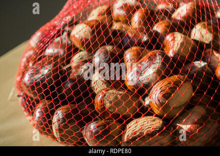 Appena raccolto dolci di castagne grezzo in una rete di plastica in borsa close up; cibo sfondo per l'autunno Foto Stock