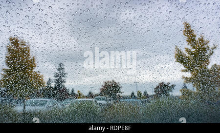 Gocce di pioggia sul parabrezza; cielo nuvoloso e autunno alberi colorati in background Foto Stock