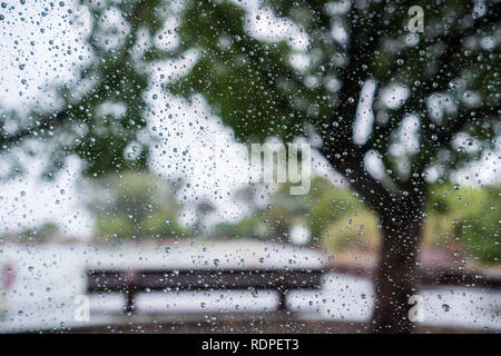 Le gocce di pioggia sul parabrezza in un giorno di pioggia; bench situato sotto gli alberi sulla riva di un lago in background; San Francisco Bay Area, Californi Foto Stock