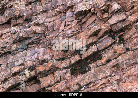 Jurassic strati rocciosi in Mt Diablo membro Park, Contra Costa County, San Francisco Bay Area, California Foto Stock