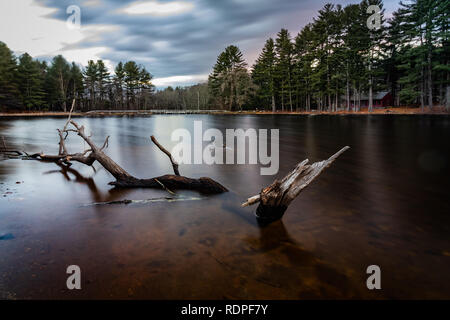 Ramo di albero recante appena al di fuori della terra in un lago nel Connecticut. La foto è una lunga esposizione per smussare le increspature fuori delle acque di superficie. Foto Stock