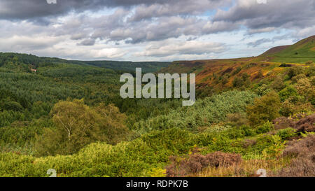 North York Moors paesaggio in Newtondale, visto dal Levisham Moor, North Yorkshire, Inghilterra, Regno Unito Foto Stock