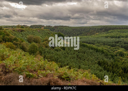 North York Moors paesaggio - guardando dal Levisham Moor oltre Newtondale, North Yorkshire, Inghilterra, Regno Unito Foto Stock