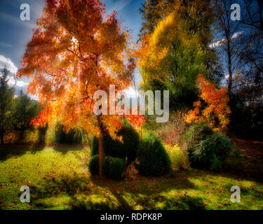 DE - BAVARIA: Suggestiva scena di giardini autunnali a Bad Toelz (HDR-Image) Foto Stock