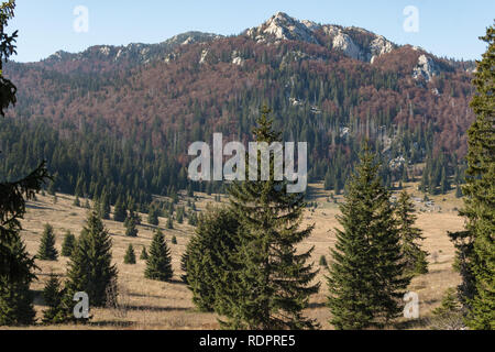 Velebit Settentrionale (parco nazionale della Croazia) paesaggio Foto Stock