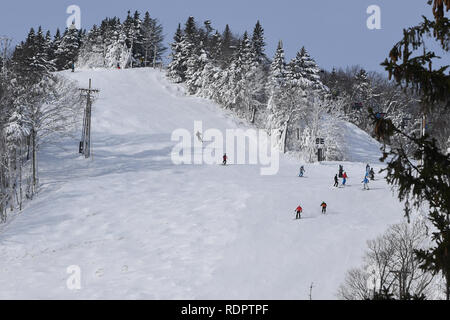 KILLINGTON, Stati Uniti d'America - 24 novembre: una vista generale durante la Audi FIS Coppa del Mondo di Sci Alpino Femminile di slalom gigante con il 24 novembre 2018 in Killington USA. Foto Stock