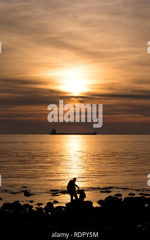 Civitavecchia (Lazio, Italia) - Il comune di Civitavecchia è chiamato il porto di Roma. Qui una vista dal fronte del porto Foto Stock