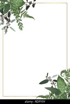 Golden decorativi cornice rettangolare con eucalipto, felce e rami di bosso isolato su bianco. Per matrimonio inviti, vignette, cartoline, poste Illustrazione Vettoriale