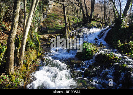La Bosnia ed Erzegovina. Unà Parco Nazionale. Esso è stato istituito nel 2008 intorno alla parte superiore del fiume n.a. e il fiume Unac. È la Bosnia ed Erzegovina è più recentemente istituito parco nazionale. Lo scopo principale del parco è quello di proteggere la natura incontaminata del n.a. e Unac grandi fiumi che scorrono attraverso di esso. L'unà fiume ha numerose spettacolare canyon, cascate e rapide. Esso è situato al confine tra la Croazia e la Bosnia ed Erzegovina. Foto Stock