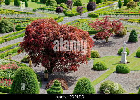 Drummond Castle Gardens vicino a Crieff, Perthshire, Scotland, Regno Unito Foto Stock