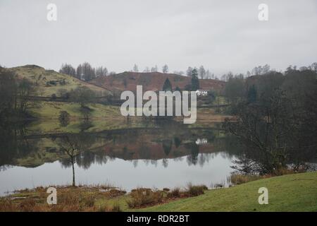 Loughrigg Tarn, Lake District, (Cumbria, Regno Unito). Fattoria di bianco edificio, alberi e colline sul grigio di una giornata di primavera con marrone autunnali bracken e cieli grigi, al Foto Stock