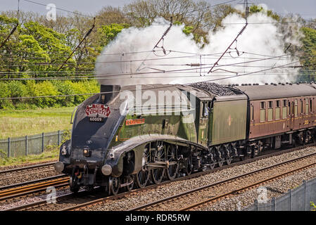 Unione di Soiuth Africa A4 classe pacifico locomotiva a vapore cale le cattedrali Explorer rail tour sulla West Coast Main Line WCML Winwick a. Foto Stock