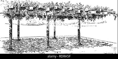 . Come pianificare la casa motivi;. Di giardinaggio. 192 Come pianificare la casa motivi ing di vagabondaggio viticci nel modo in cui dovrebbero andare. Non ci sono molti posti dove l'estate-case e alberi di trovare un luogo adatto, e - uno dei più importanti considerazioni che dovrebbero governare la selezione- zione delle ubicazioni per tali edifici è intimità. Questo è il motivo per cui l'estate-house o di arbor, sembra adattarsi così bene negli angoli e nicchie di fiore-giardini. Ci sono pochi luoghi privati in cui i ponti sono necessari e i parchi sono atte ad essere troppo sovraccaricato mth. PERGOLA, o aprire VINE-COVER Foto Stock