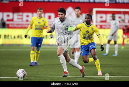 SINT-TRUIDEN, Belgio - 18 Gennaio : Alejandro Pozuelo di Genk in azione durante la Jupiler Pro League Match Day 22 tra Stvv e KRC Genk il 18 gennaio 2019 in Sint-Truiden, Belgio. (Foto di Vincent Van Doornick/Isosport) Foto Stock