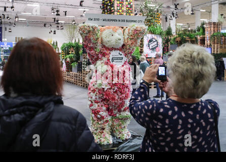 Berlino, Germania. 18 gennaio, 2019. Visitatori guardare un orso di Berlino fatta di fiori durante la International Green Week (IGW) Berlino a Berlino, capitale della Germania, a gennaio 18, 2019. La IGW Berlino, una mostra internazionale dei prodotti alimentari, agricoltura e giardinaggio industries, aperto venerdì e durerà fino al gennaio 27, attraendo più di 1.700 espositori provenienti da tutto il mondo. Credito: Shan Yuqi/Xinhua/Alamy Live News Foto Stock