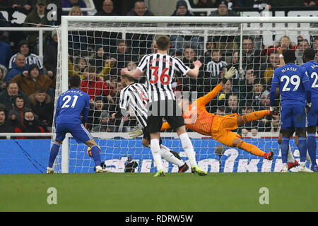 Newcastle , REGNO UNITO. 19 gennaio 2019. Fabian Schar di Newcastle United (5) germogli e punteggi suo e del suo team obiettivo 2a. Premier League, Newcastle United v Cardiff City a St. James' Park a Newcastle upon Tyne, sabato 19 gennaio 2019. Questa immagine può essere utilizzata solo per scopi editoriali. Solo uso editoriale, è richiesta una licenza per uso commerciale. Nessun uso in scommesse, giochi o un singolo giocatore/club/league pubblicazioni. pic da Chris Stading/Andrew Orchard fotografia sportiva/Alamy Live news Credito: Andrew Orchard fotografia sportiva/Alamy Live News Foto Stock