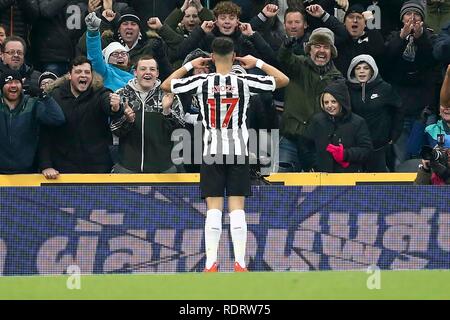 Newcastle , REGNO UNITO. 19 gennaio 2019. Ayoze Perez di Newcastle United festeggia dopo aver segnato il suo team obiettivo 3a. Premier League, Newcastle United v Cardiff City a St. James' Park a Newcastle upon Tyne, sabato 19 gennaio 2019. Questa immagine può essere utilizzata solo per scopi editoriali. Solo uso editoriale, è richiesta una licenza per uso commerciale. Nessun uso in scommesse, giochi o un singolo giocatore/club/league pubblicazioni. pic da Chris Stading/Andrew Orchard fotografia sportiva/Alamy Live news Credito: Andrew Orchard fotografia sportiva/Alamy Live News Foto Stock