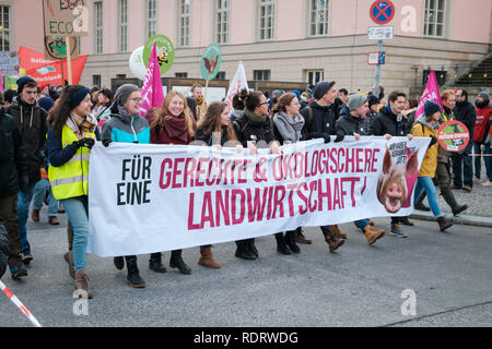 Berlino, Germania - 19 Gennaio 2019: dimostrazione "Wir haben es satt', contro il tedesco e la politica agricola della UE e per l'agricoltura sostenibile a Berlino, Germania Credito: hanohiki/Alamy Live News Foto Stock