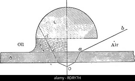 . Elementi di microscopia applicata. Un libro di testo per i principianti. Microscopia. I6 elementi Oh microscopia applicata. sito superfici di lenti secondo alcune relazioni di tipo noto. Tali lenti sono designate come aplanatica. Non ci rimaneva ancora una grave limitazione per l'in- cordonatura del potere di ingrandimento del microscopio composto. In tutte le sue diverse rifrazioni vi è una perdita di luce e con le piccole lenti di obiettivo di grande curva- ture, necessario per un elevato ingrandimento, è difficile ottenere una sufficiente illuminazione per una visione chiara. Inoltre è stato dimostrato da Abbe e altri Foto Stock