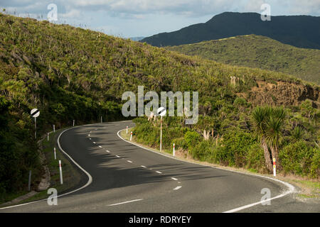 Un incurvamento strada asfaltata conduce al punto più settentrionale della Nuova Zelanda a Cape Reinga. Foto Stock