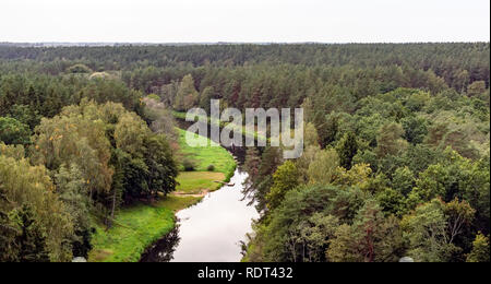 Vista Pineta treetops e avvolgimento Sventoji fiume dalla torre di avvistamento del Treetop percorso a piedi in Anyksciai, Lituania. Foto Stock